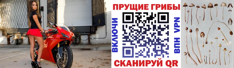 наркота  Старый Крым  Галлюциногенные грибы прущие грибы 
